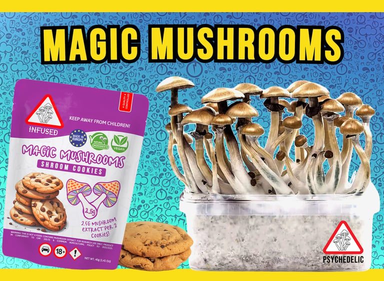 Magic Mushrooms Malta
