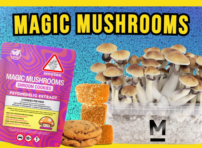 Magic mushroom kit with psilocybin extract cookies and gummies for psychedelic infusion.