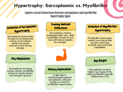 a diagram of a hypertrophy