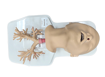 Suzhou Frank Endoscopy Simulator