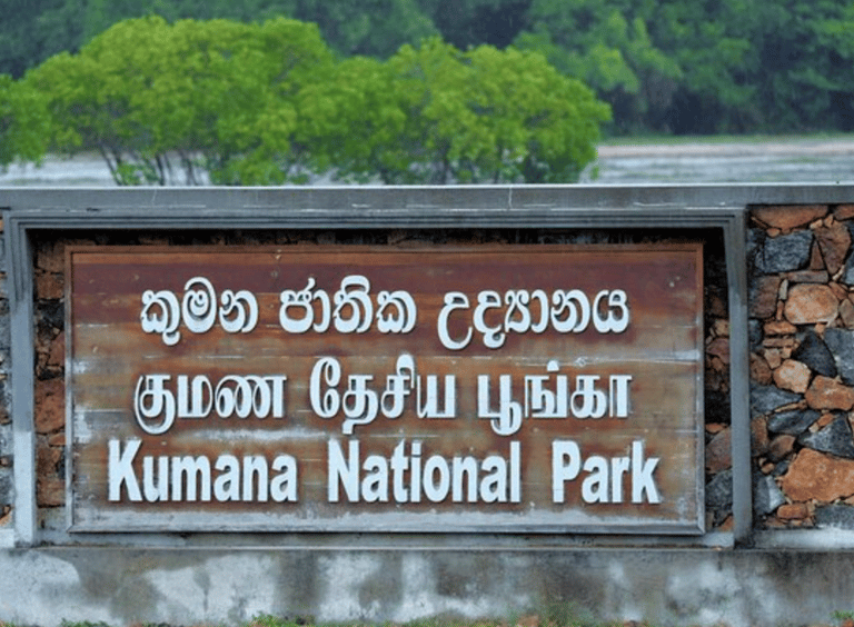 Kumana National Park