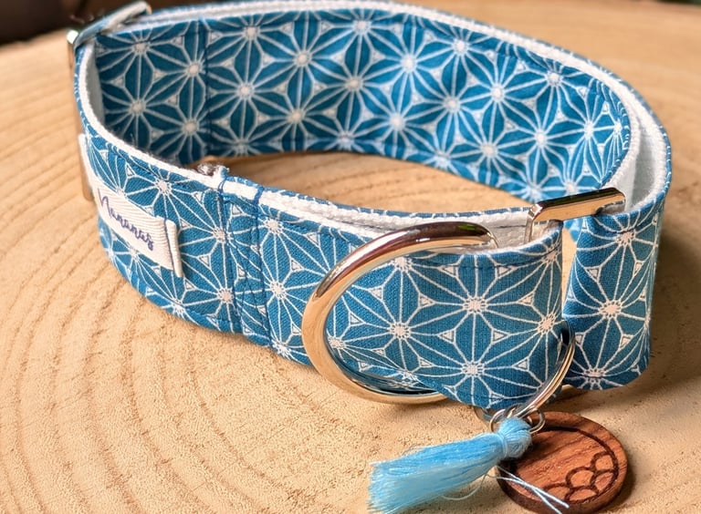 collier pour chien martingale