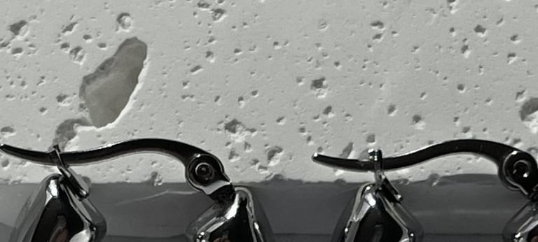 a pair of earrings with a pair of earrings