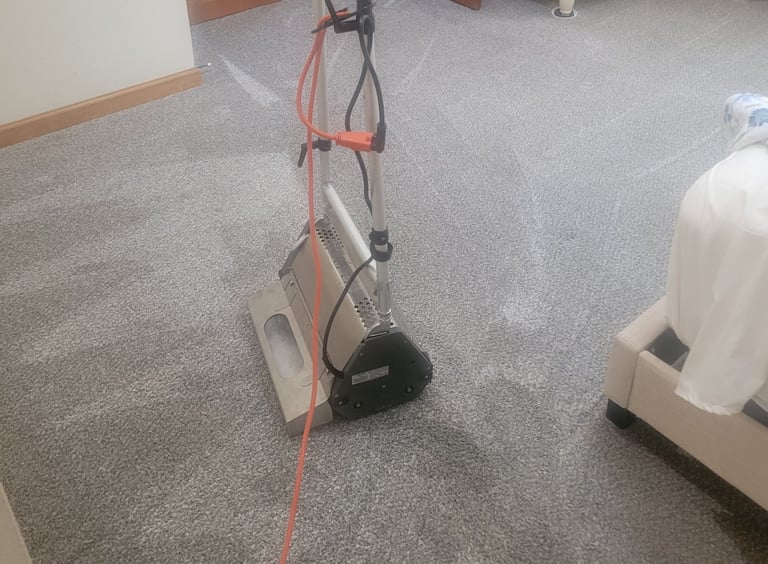 Enviro Cleaning with photo of Green Carpet Cleaning with Low moisture machine