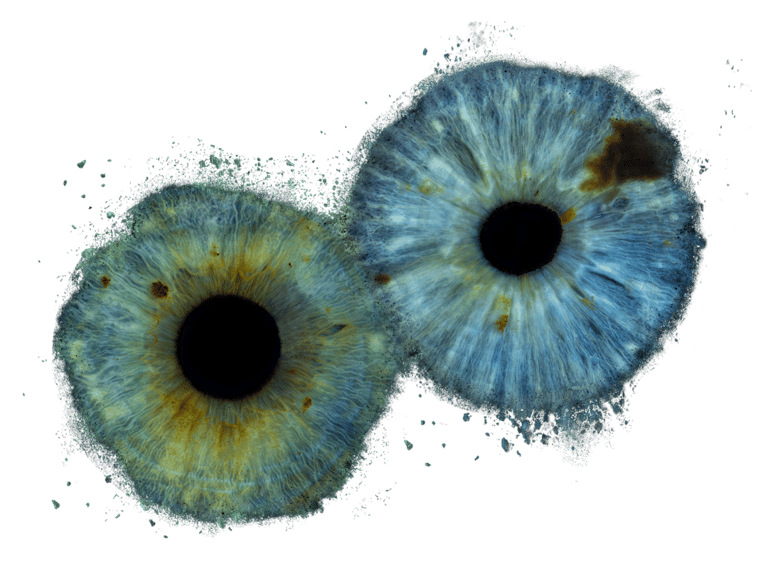 Two close up images of irises, Iris Photography