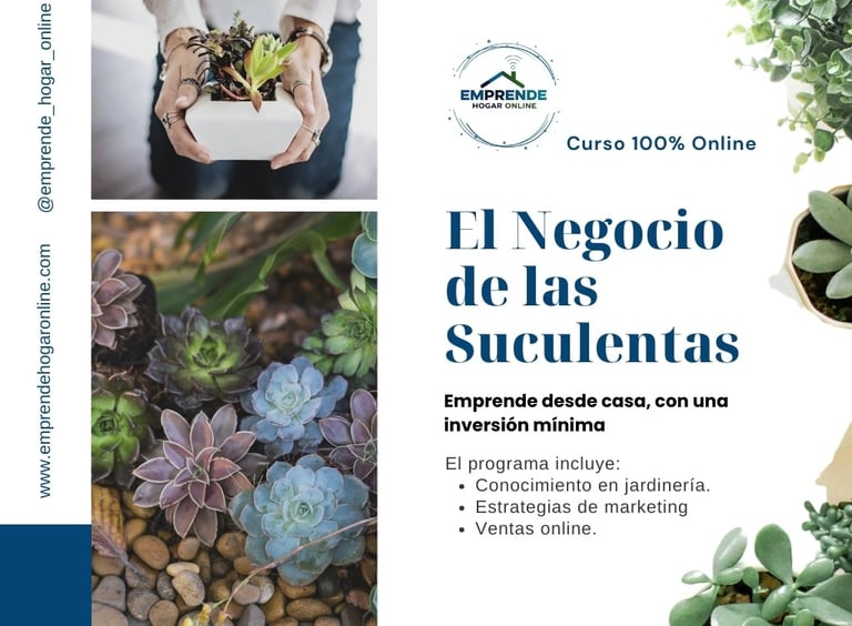 a woman holding a box of succulente plants