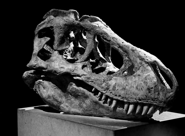 crane de tarbosaurus