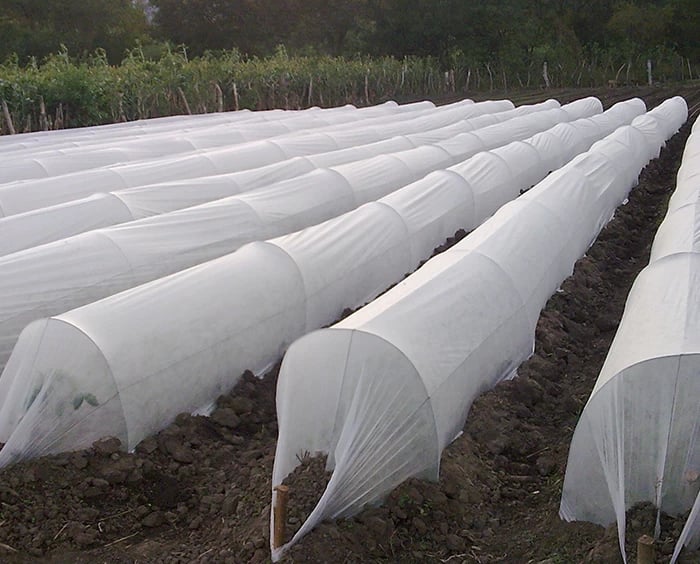 Agriculture Non Woven fabric