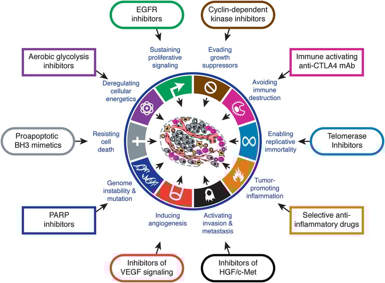 The Hallmarks of Cancer