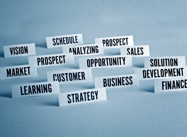 Business planning, strategy, vision, mission and opportunity