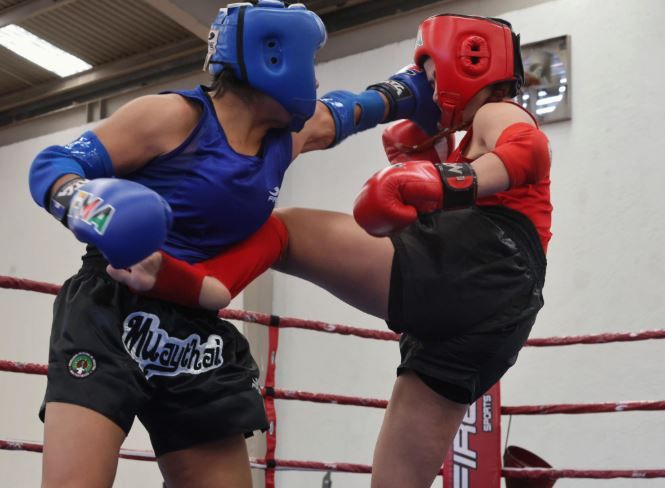 DOJOS.LAT Noticias y actualidad de artes marciales