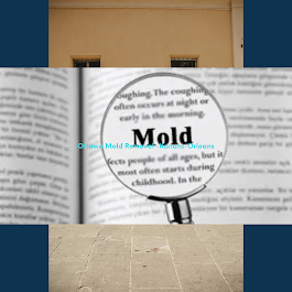 Ottawa Mold Removal-Orleans-Kanata