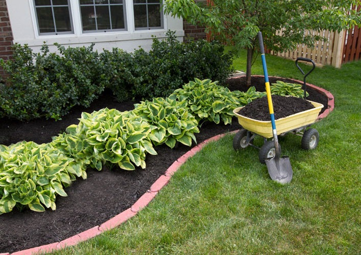gardening with shovel and wheelbarrel. Adding soil & mulch