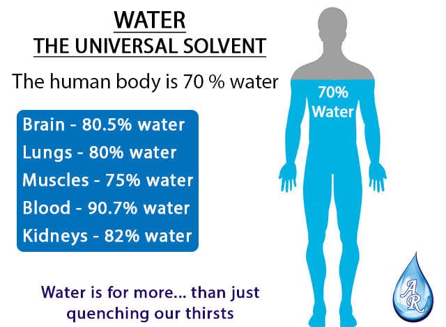 Vetrivel Health center best chiropractic and varamam theraphy 