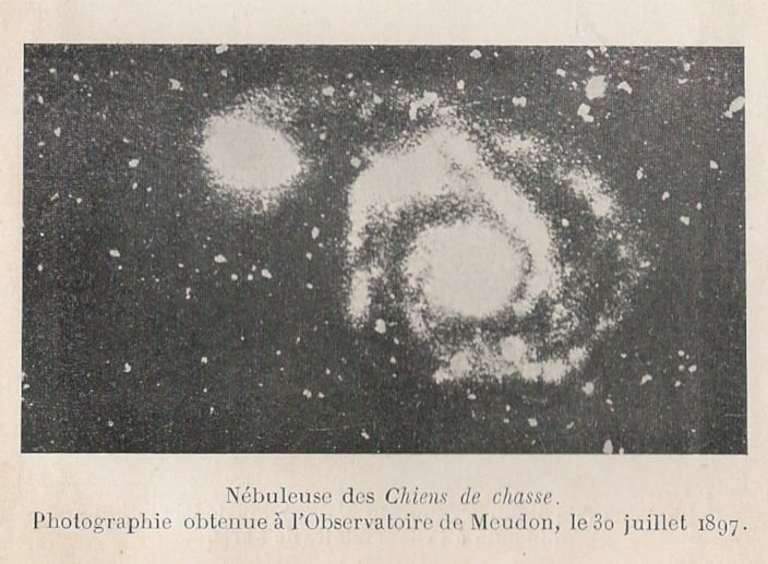 Chiens de Chasse 1897