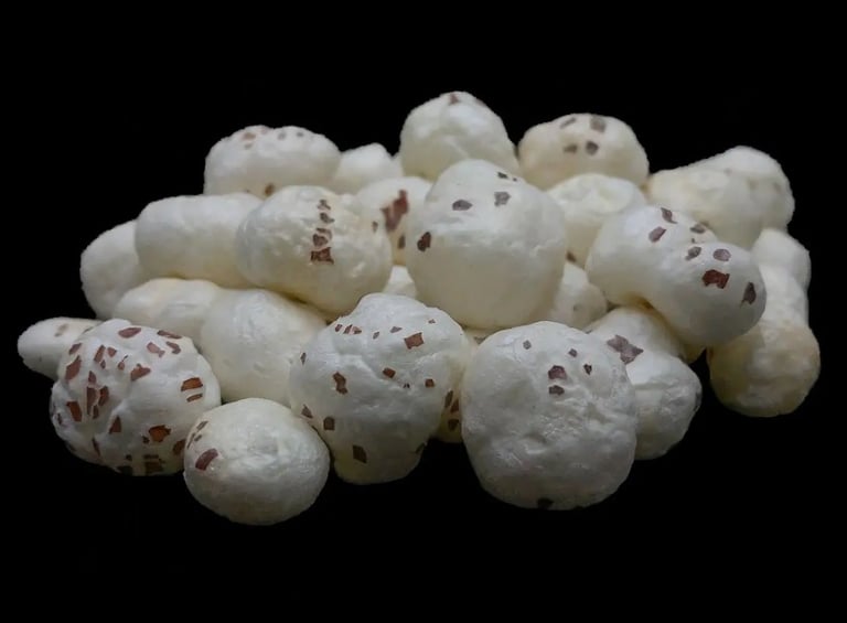 Makaha - Fox nuts - WEARE OCEAN EXPORT