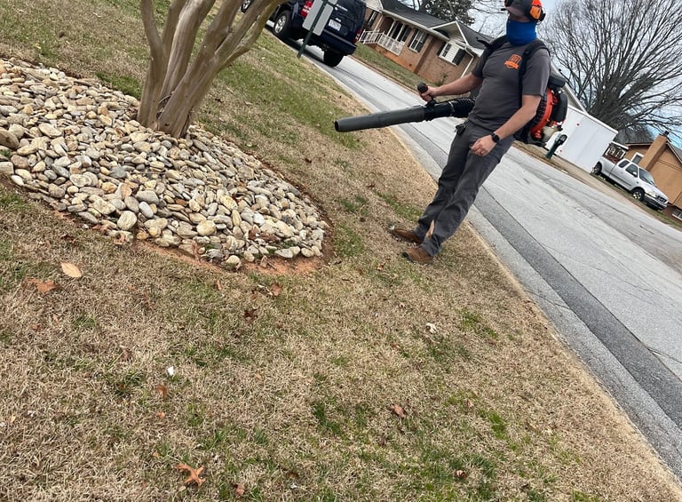 TLC Upstate Leaf Removal