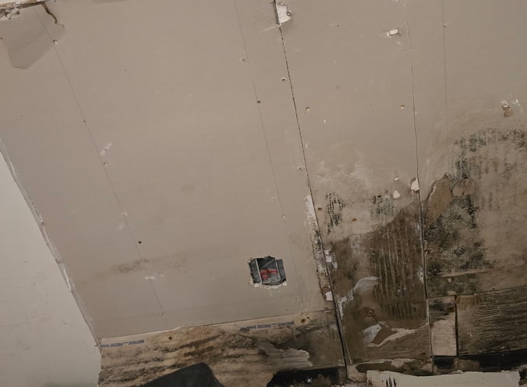hidden mold growing on wall