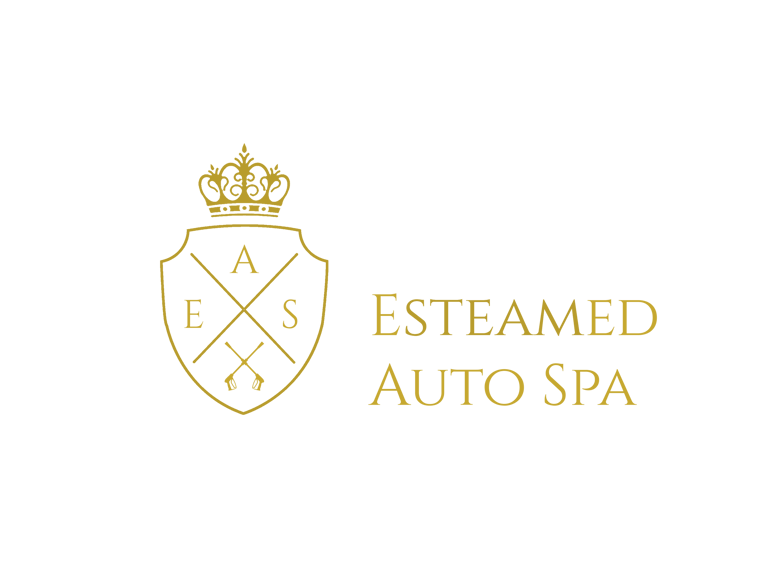 auto detailing logo