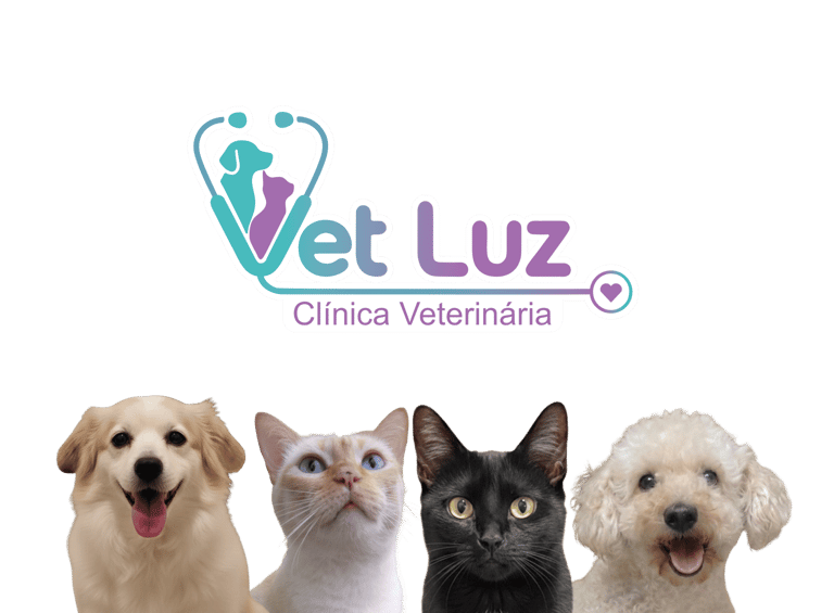 Gatos e cachoros olhando para frente, posicionados lado a lado.