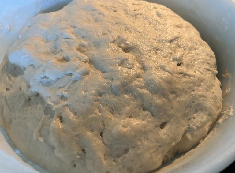 Bowl of dough that has rested for about 1 hour.
