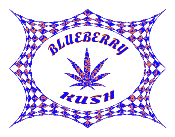 Blueberry Kush cannabis logo with a patterned marijuana leaf inside a blue and orange geometric frame.