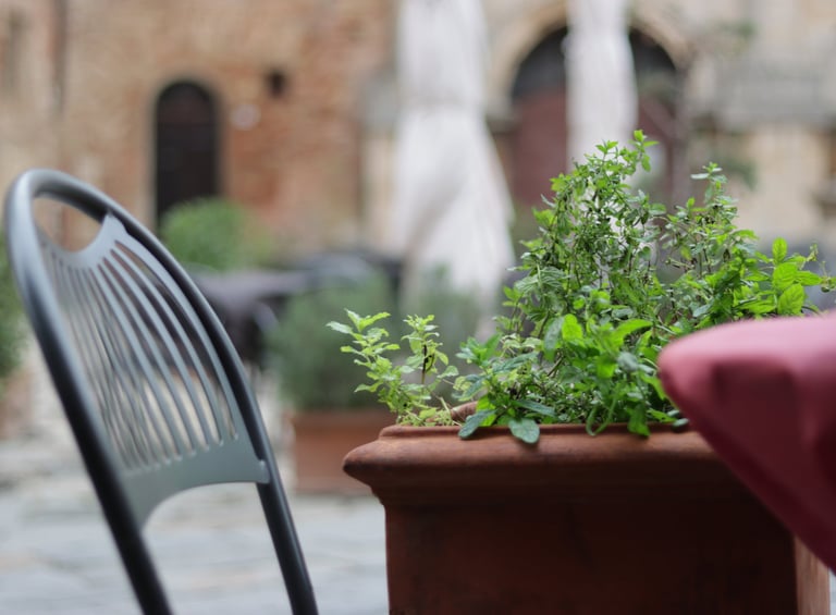 a potted planter with a plant in a potted pot