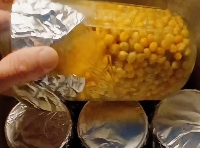 corn grain jars being loaded in pressure cooker