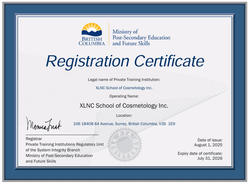 Hairdressing And Esthetics