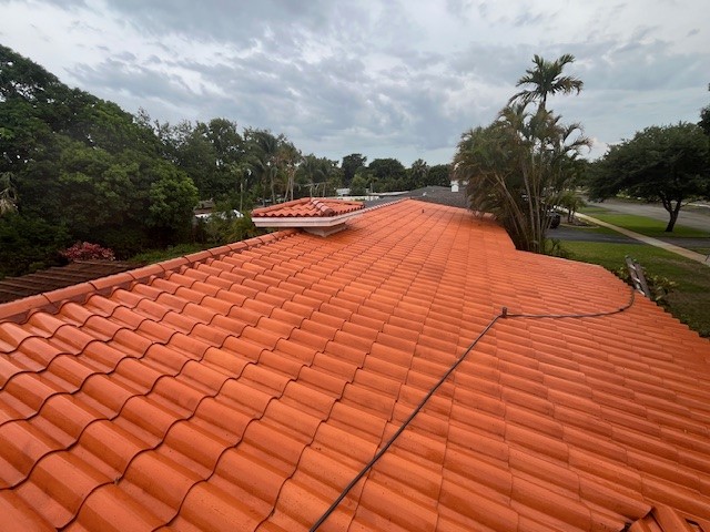 roof soft washing services, roof cleaning services, roof cleaning company near me