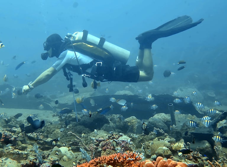 Good Buoyancy Diver 