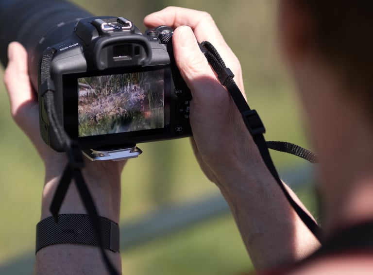 Wolf in der Langen Erle Basel Fotografiert von Kursteilnehmerin der Fotografie Akademie