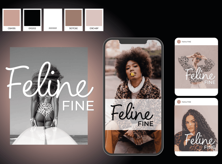Conceptual visual identity for Feline Fine clothing brand, featuring packaging and promotional mater