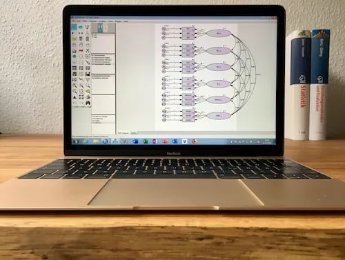 Computerbildschirm mit einer Visualisierung einer komplexen konfirmatorischen Faktorenanalyse