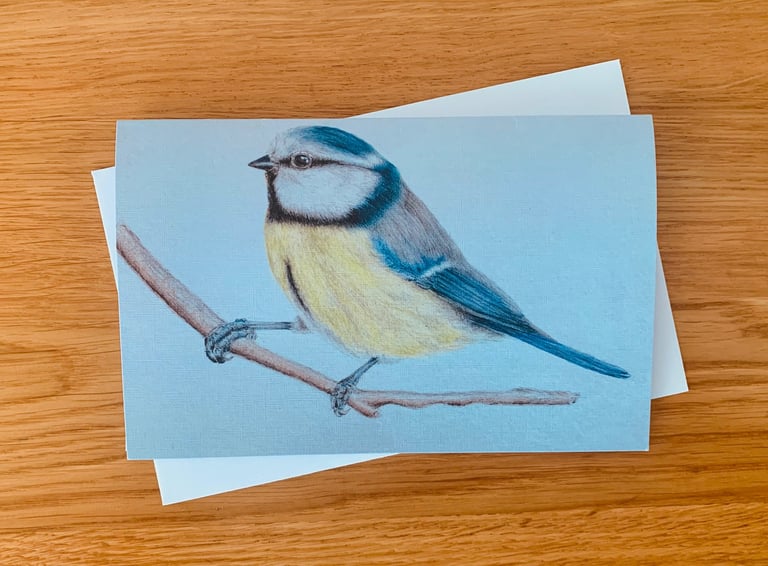 Blue Tit