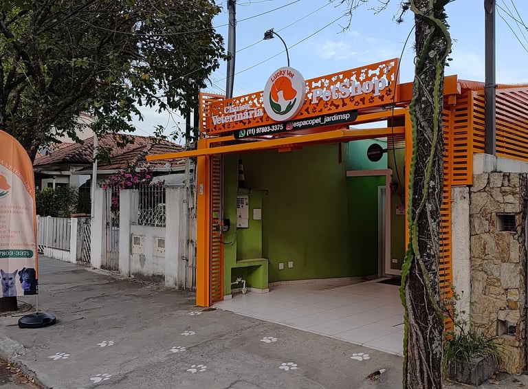 fisioterapia-veterinaria-jardim-sao-paulo