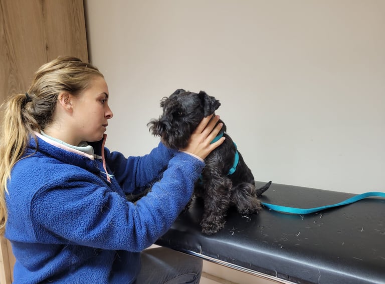 Trudi chez son ostéopathe