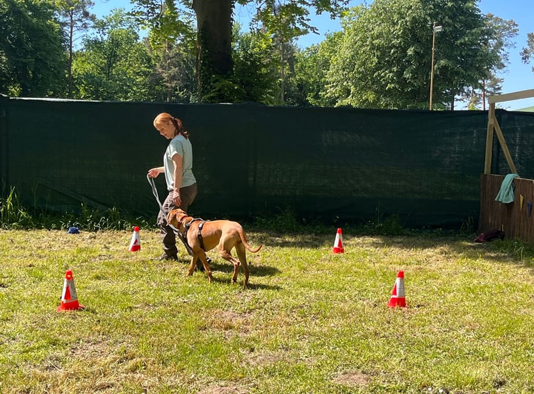 Frau mit Hund beim Gruppentraining bei RIKA Hundetraining in Wiesental