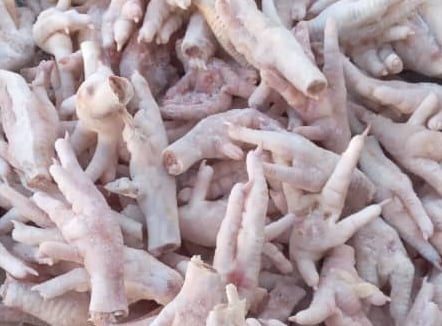 Chicken feet Exports by DGT