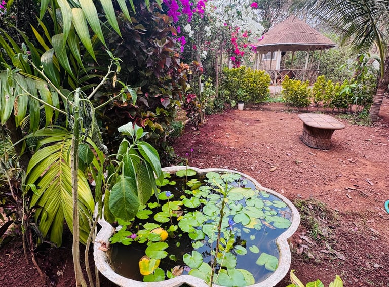 How to reach Shanti MIZU yoga retreat center from Mopa airport Goa