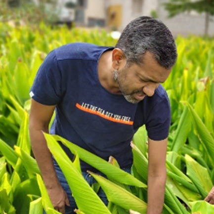 Vivek