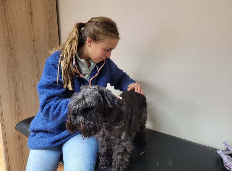 Visite de contrôle pour Tara