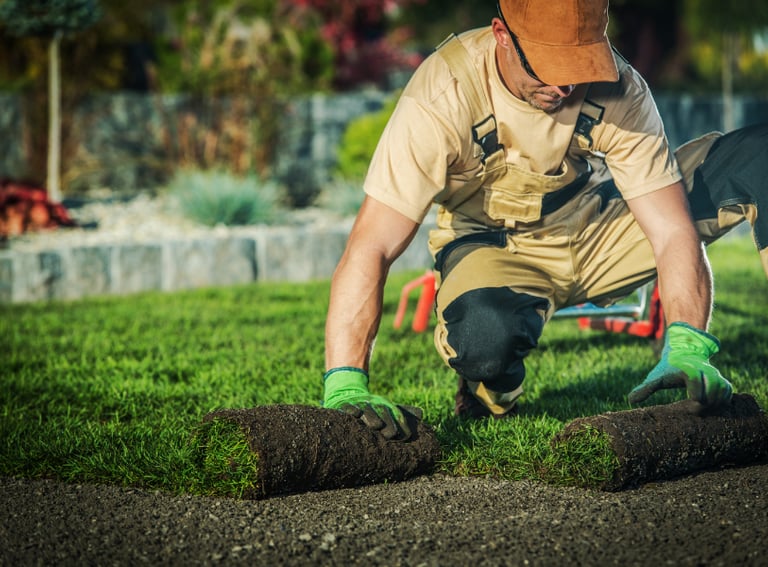 Professional landscaping and grounds maintenance by Cleanmax for homes and businesses.