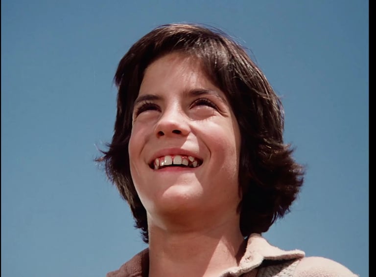 Matthew Labyorteaux as Albert Ingalls from Little House on the Prairie