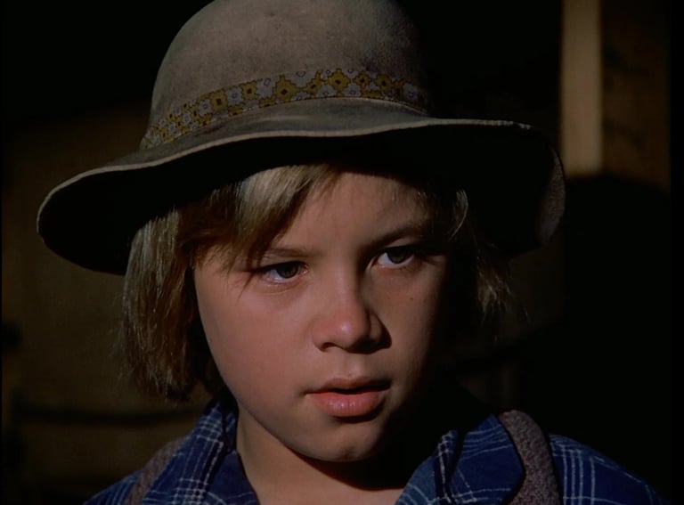 Brian Part as Carl Sanderson Edwards on Little House on the Prairie