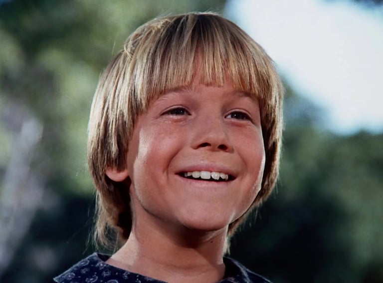 David Friedman as Jason Carter from Little House on the Prairie