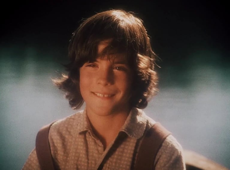 Matthew Labyorteaux as Albert Ingalls on Little House on the Prairie