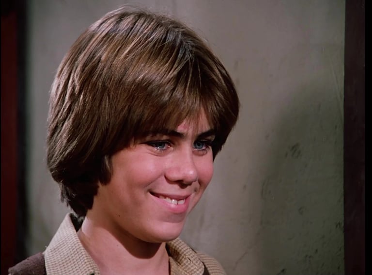 Patrick Labyorteaux as Andy Garvey from Little House on the Prairie