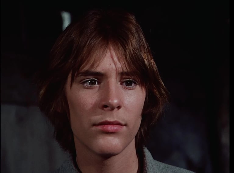Radames Pera as John Sanderson Edwards on Little House on the Prairie