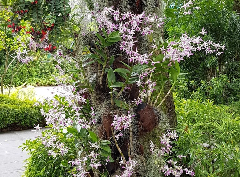 Tree and Flowers